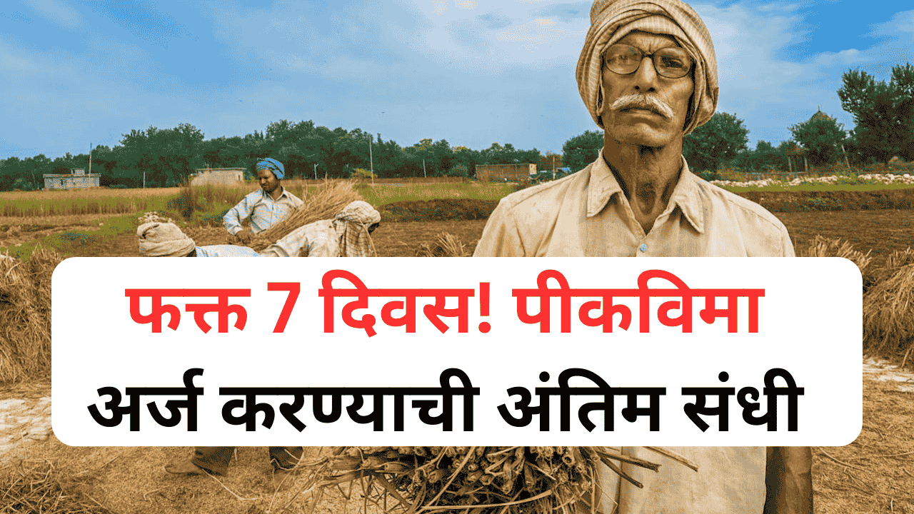 31 जुलैपूर्वी पीकविमा अर्ज करा – शेती वाचवा!