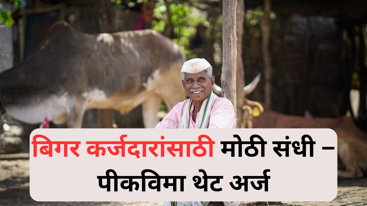 बिगर कर्जदारांसाठी पीकविमा अर्ज प्रक्रिया