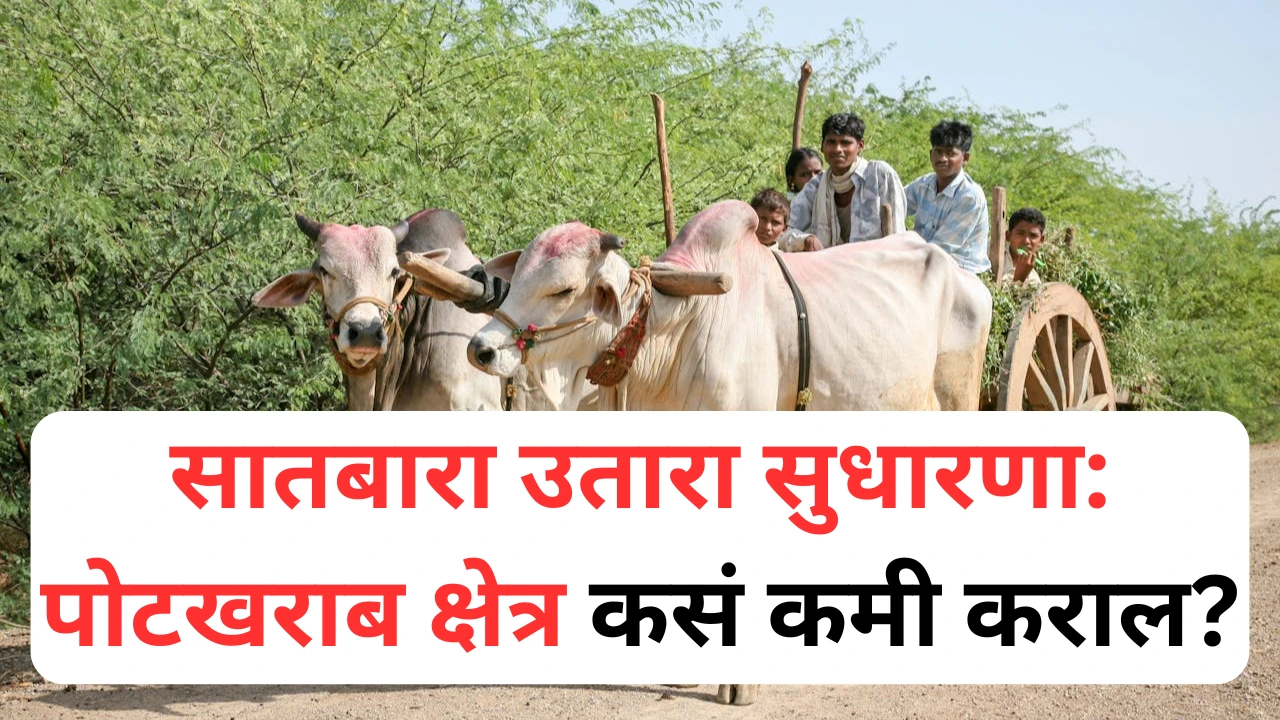 सातबारा उतारा सुधारणा प्रक्रिया – पोटखराब क्षेत्र कमी करण्यासाठी शेतकऱ्यांसाठी माहिती