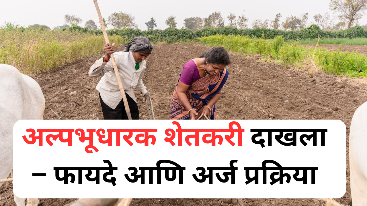 शेतकऱ्यांसाठी अल्पभूधारक प्रमाणपत्र – अर्ज व फायदे