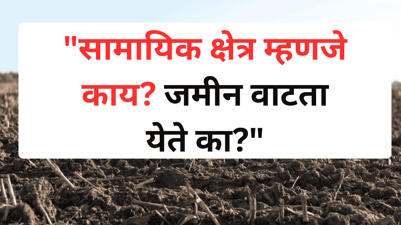शेतजमिनीचा सातबारा उतारा आणि सामायिक क्षेत्राचा उल्लेख
