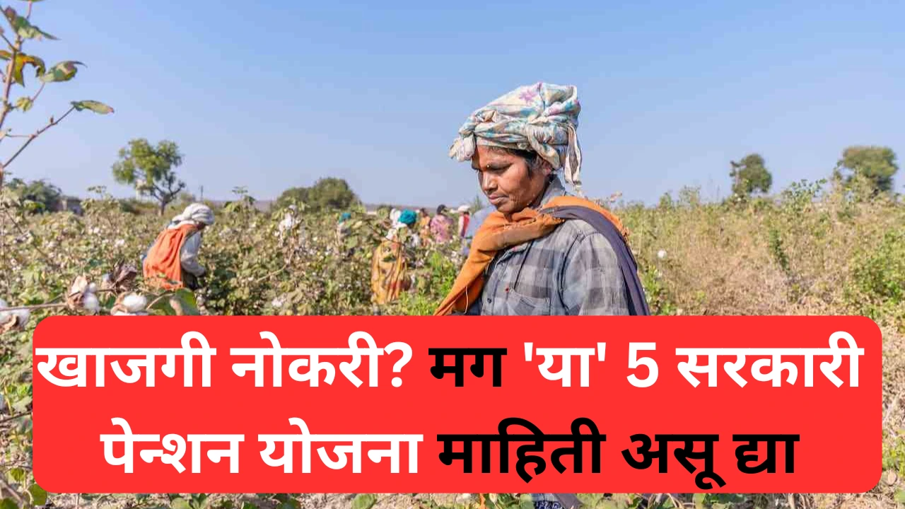 खाजगी नोकरी करणाऱ्यांसाठी महत्त्वाच्या सरकारी पेन्शन योजना