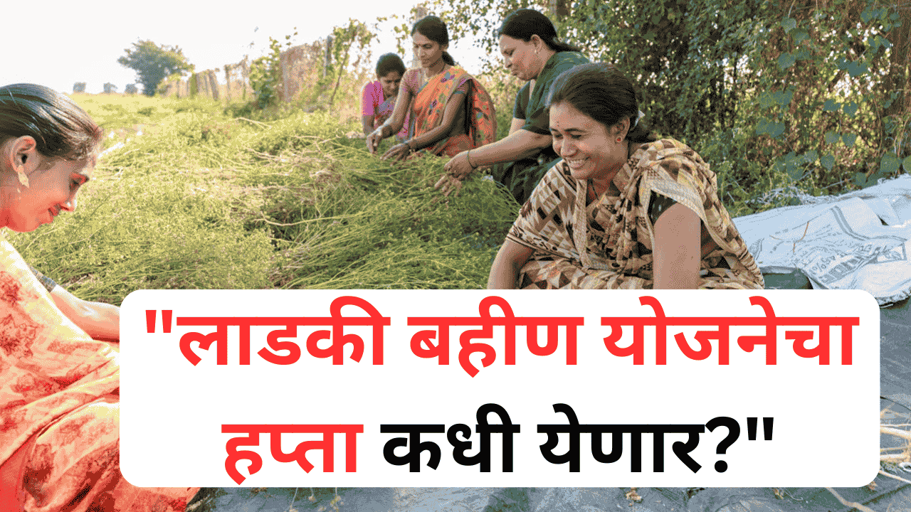 लाडकी बहीण योजना: जुलैचा हप्ता व पात्रतेची माहिती