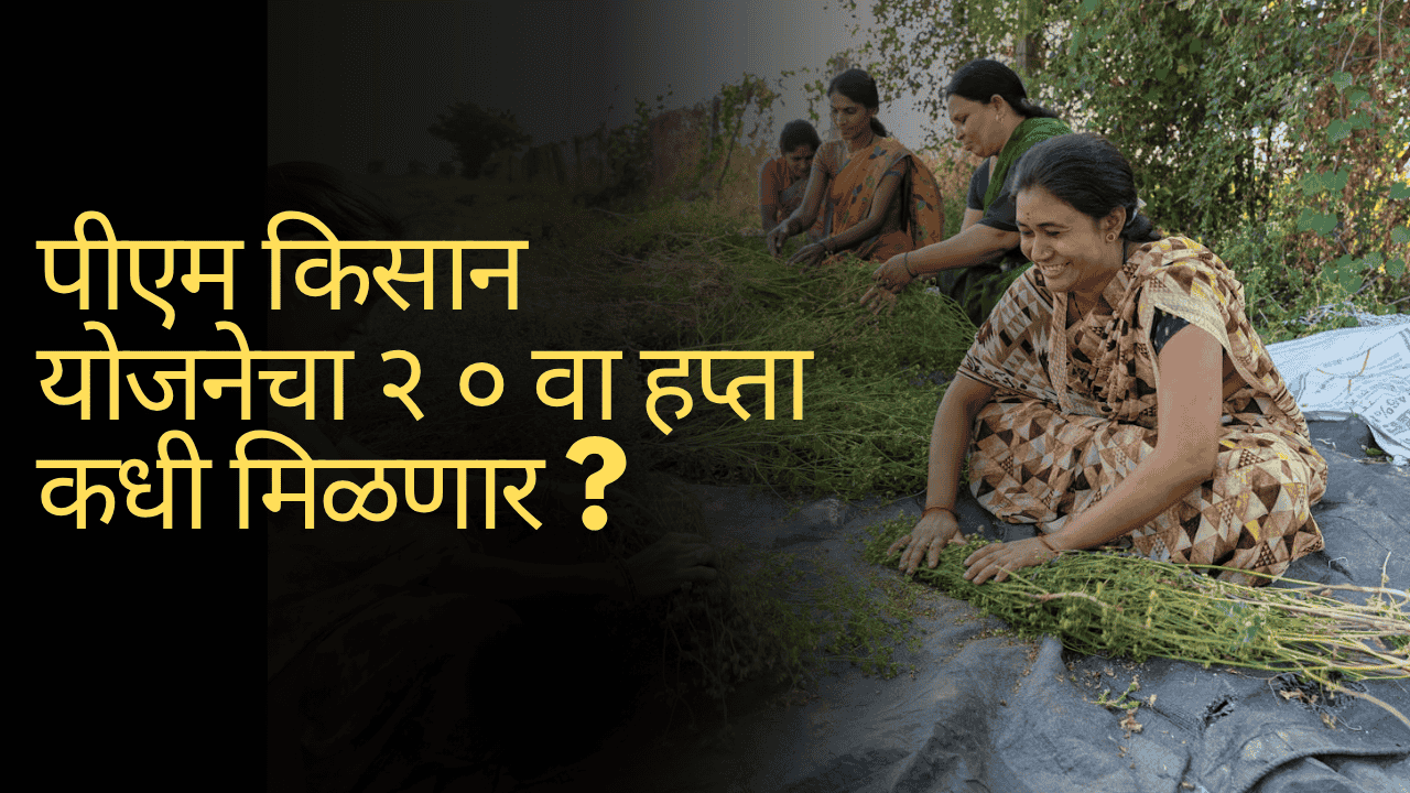 PM किसान 20वा हप्ता 2025 साठी शेतकरी प्रतीक्षेत – 2000 रुपये कधी जमा होतील याबाबत अपडेट