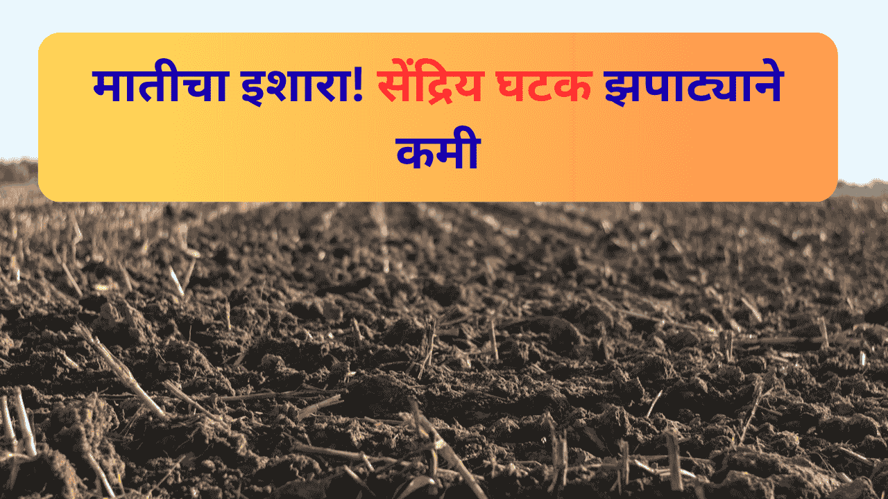 अकोल्यातील मातीचा गंभीर इशारा – आरोग्य बिघडतेय!