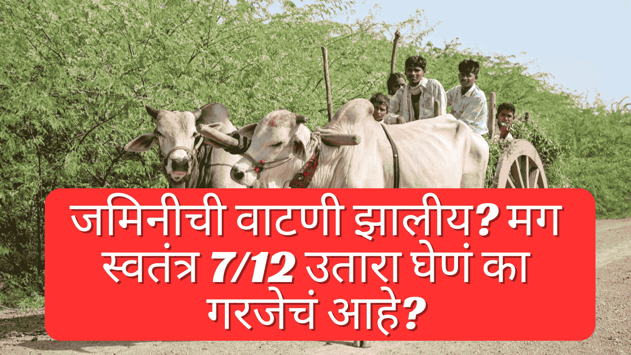 तालुक्यातील महसूल कार्यालयात पोटहिस्स्यासाठी अर्ज करताना शेतकरी