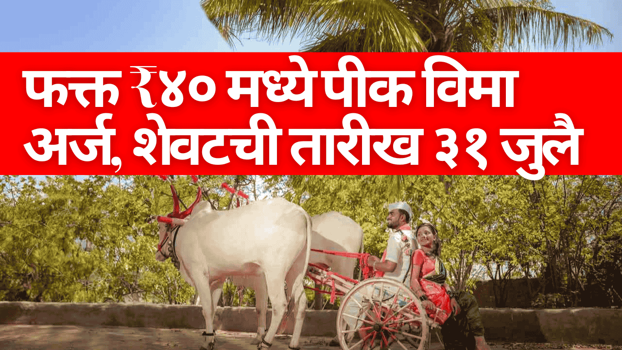 शेतकरी पीक विमा अर्ज भरण्याकरिता सीएससी केंद्रात