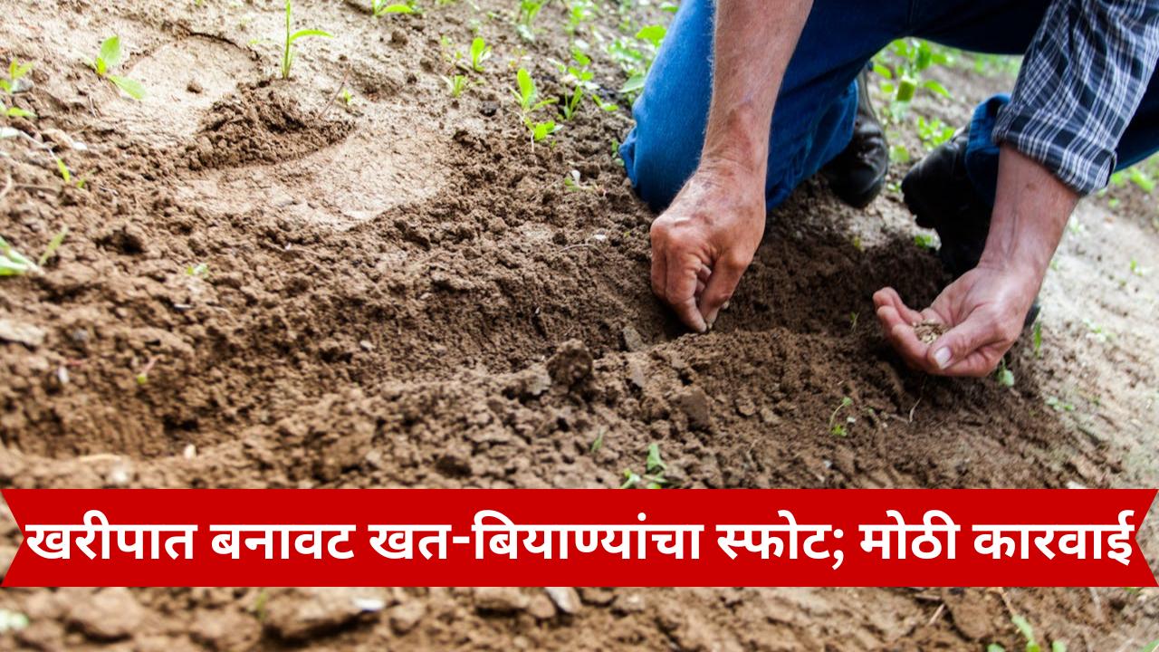 शेतकरी कृषी केंद्रात बियाण्याबाबत चौकशी करताना