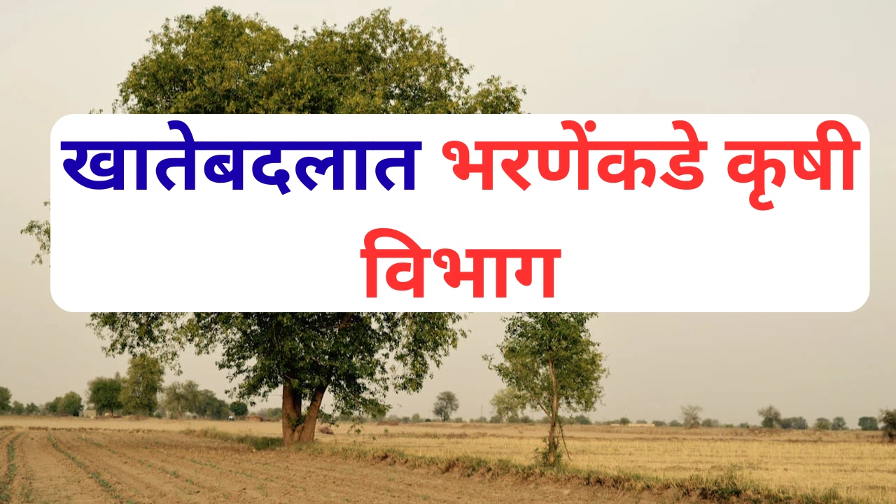 दत्तात्रय भरणे कृषी मंत्री