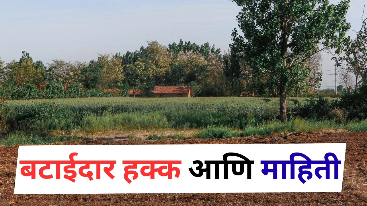 बटाईदार म्हणजे कोण आणि त्याचा काय हक्क आहे?