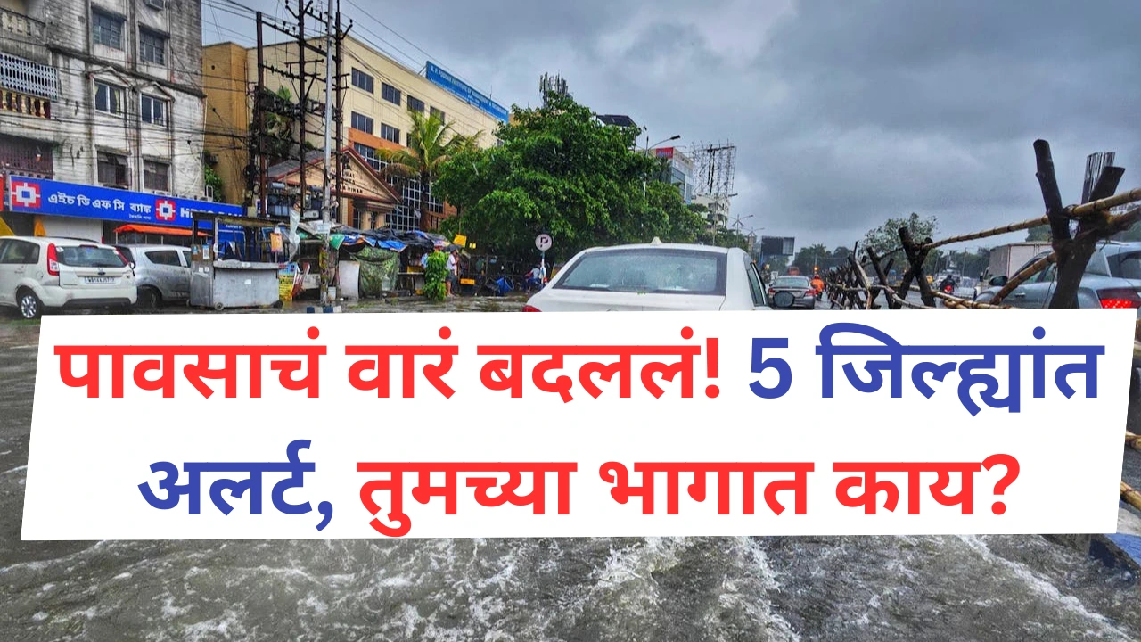 पाऊस, यलो अलर्ट आणि शेतकऱ्यांसाठी हवामान सल्ला