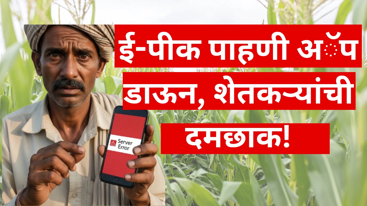 ई-पीक पाहणी अॅपमध्ये सर्व्हर डाऊन झाल्याने शेतकरी त्रस्त