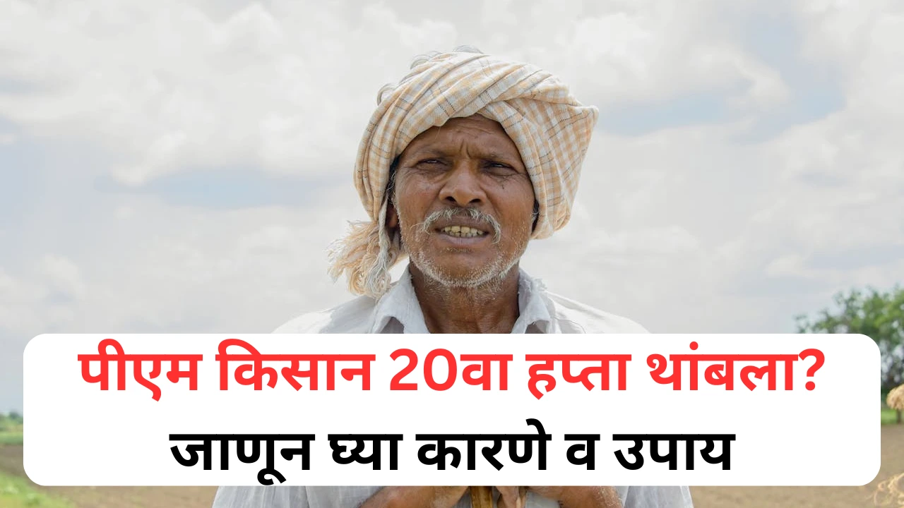पीएम किसान 20वा हप्ता न मिळाल्यास कारणे व उपाय