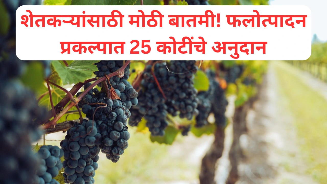 फलोत्पादन प्रकल्प योजनेत बदल; शेतकऱ्यांना 25 कोटी अनुदान