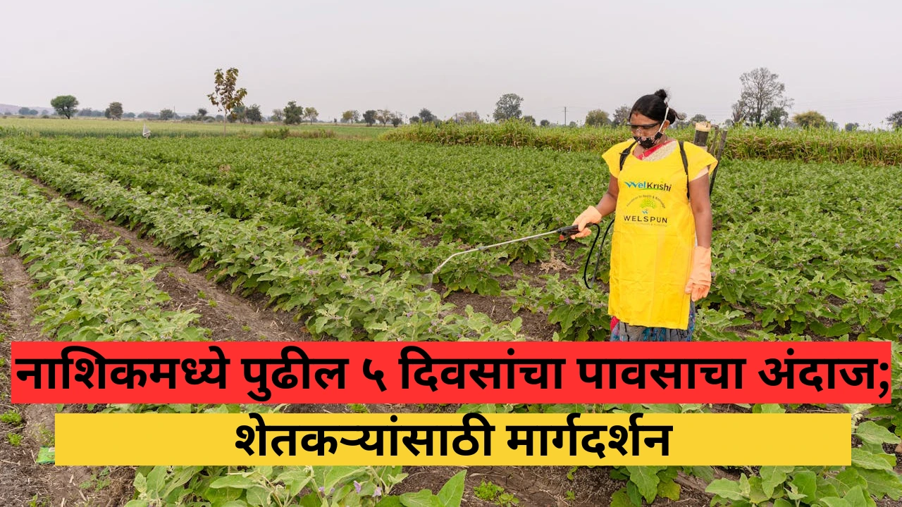 नाशिक जिल्ह्यात पुढील पाच दिवसांचा पावसाचा अंदाज आणि कृषी सल्ला