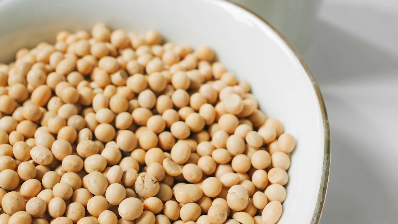 सोयाबीनचे दर वाढले, शेतकऱ्यांना दिलासा