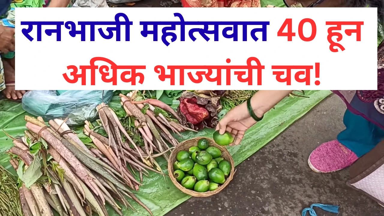 नाशिक रानभाजी महोत्सवात विविध प्रकारच्या भाज्यांचे स्टॉल